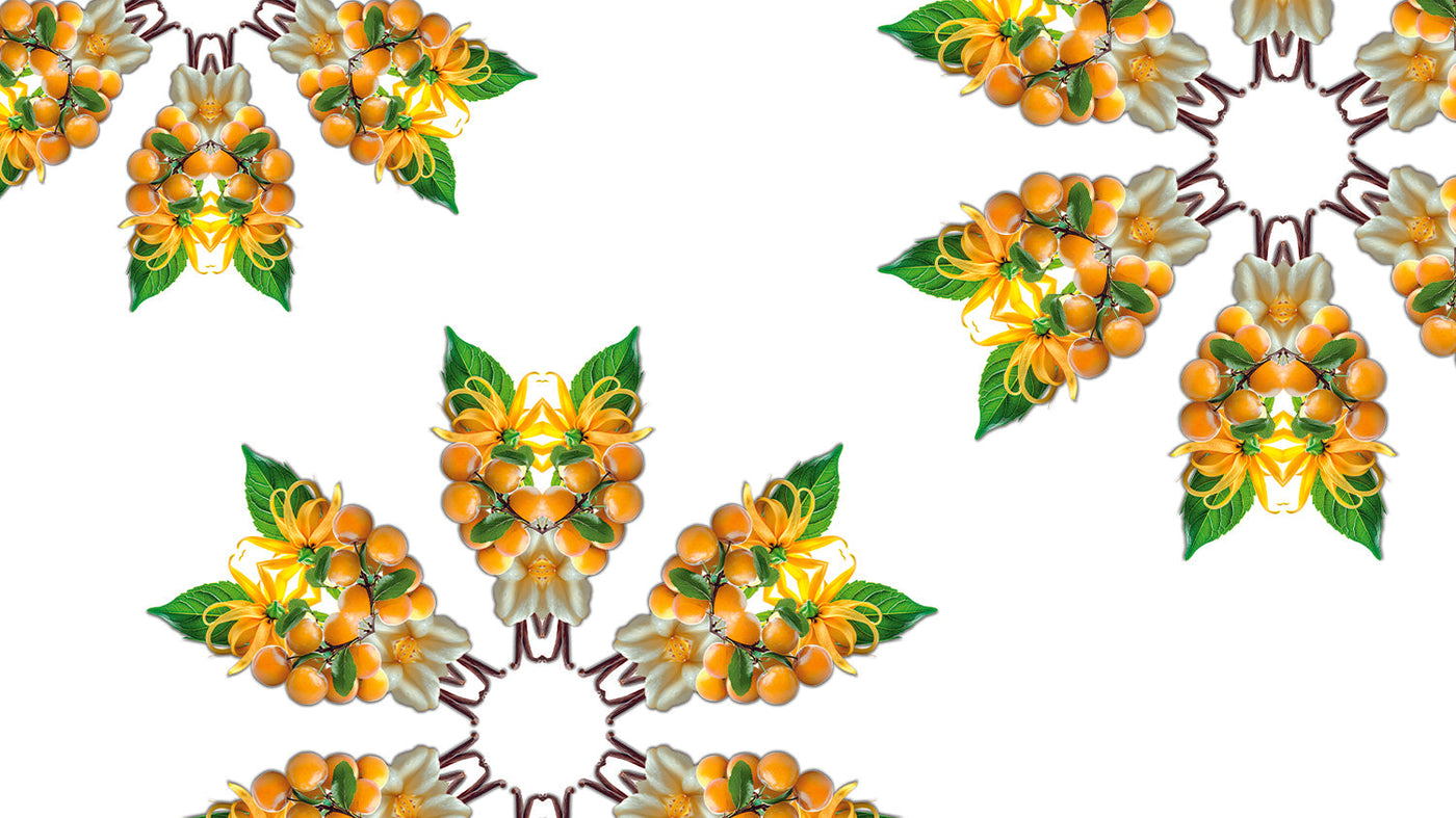 Fruity Sun