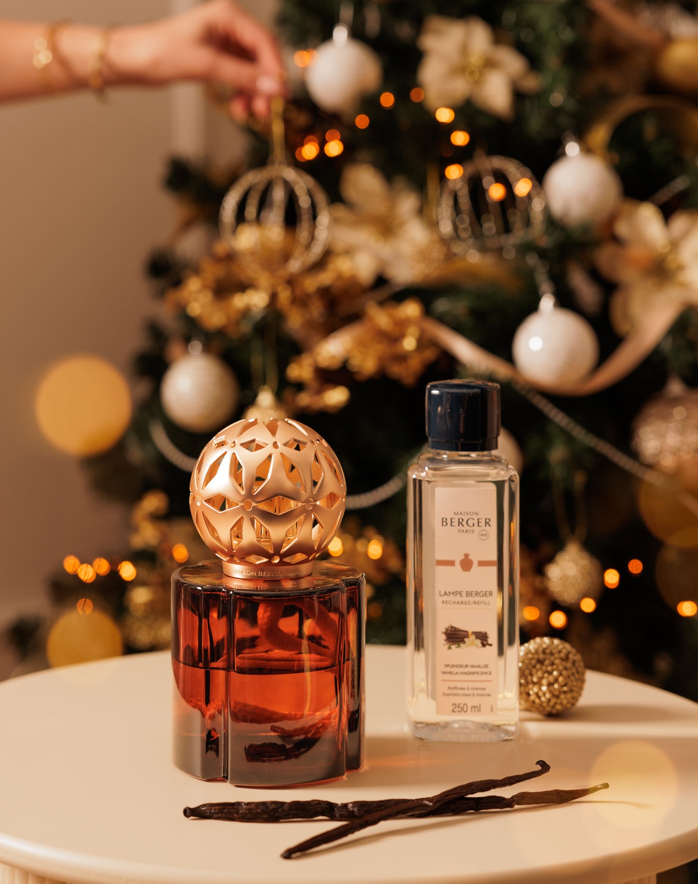 Chocolate Pomelis Lamp Berger Gift Pack