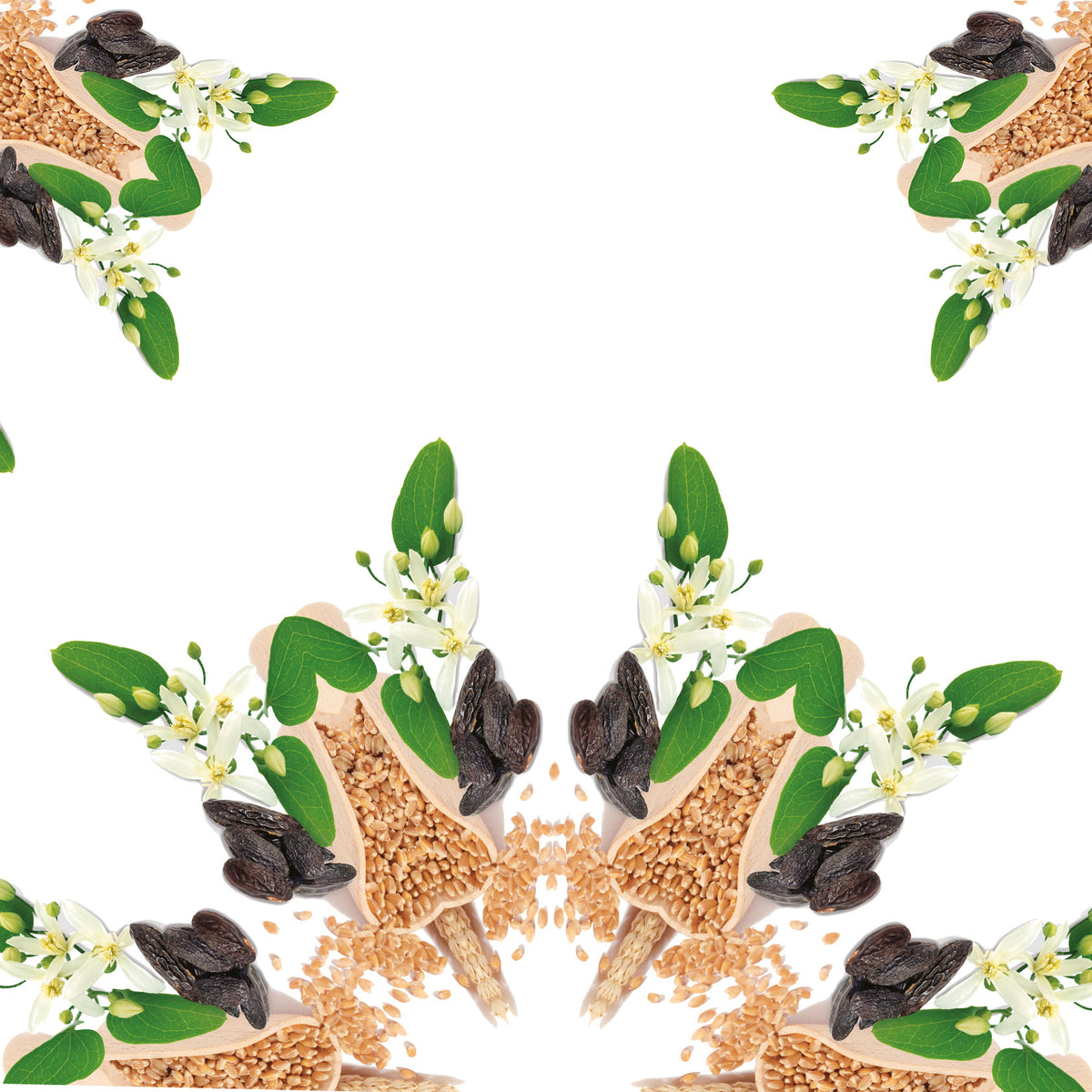 Maison Berger Paris Brand, 125 years of history • Maison Berger Paris UK